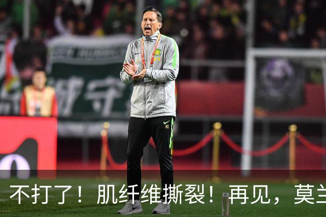 不打了！肌纤维撕裂！再见，莫兰特