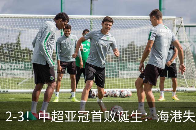2-3！中超亚冠首败诞生：海港失点+主场输球！送越南球队亚冠首胜