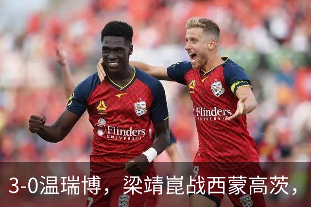 3-0温瑞博，梁靖崑战西蒙高茨，王皓现场观战，国乒3人进男单16强
